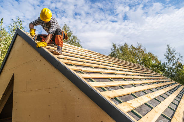 Best Metal Roofing Contractor  in Meridian, TX