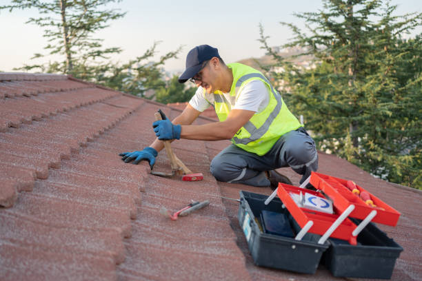 Gutter Installation and Roofing in Meridian, TX